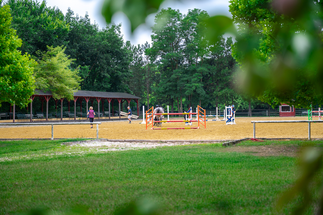 Springplatz mit Hindernissen und Bäumen am Rand