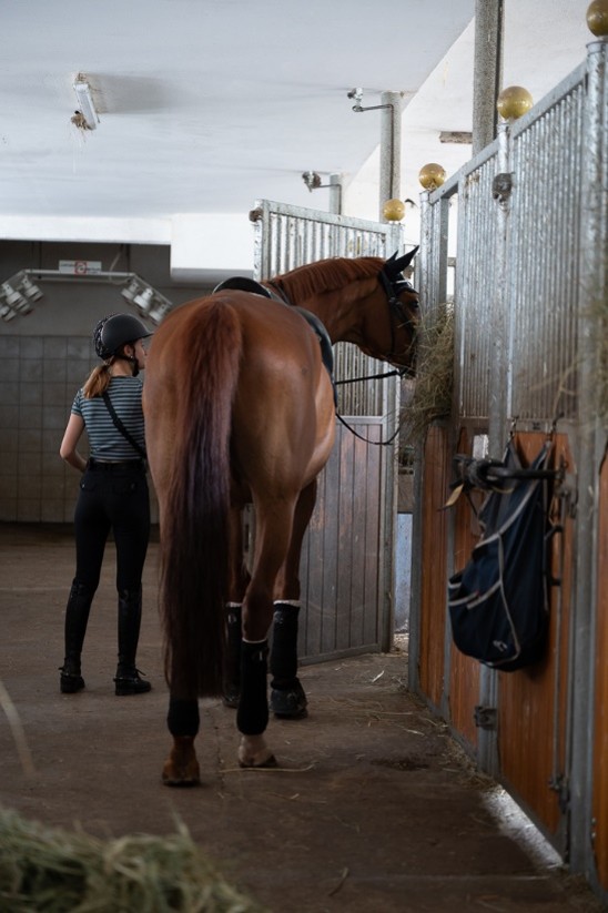 Stallgasse mit Boxen im Pensionsstall Hornkohl