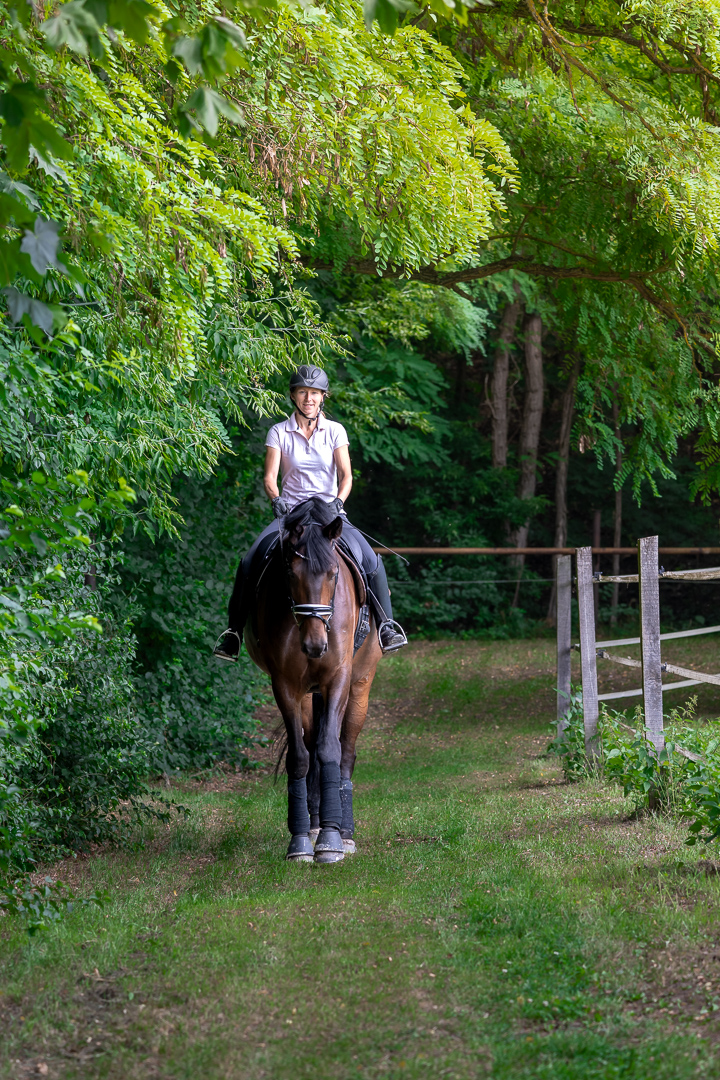 Reiterin auf einem dunkelbraunen Pferd auf einem Waldweg